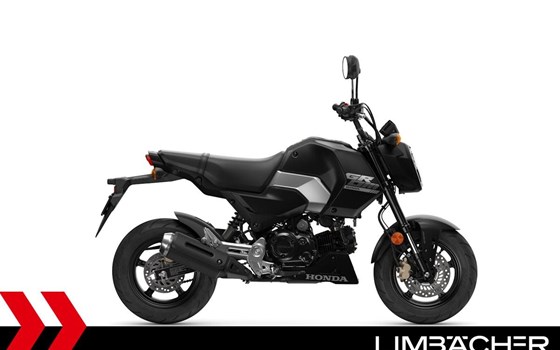 Gebrauchtmotorrad Honda MSX125 Grom - Bild 2