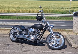 Gebrauchte Bigdog Bulldog