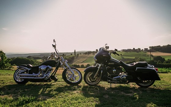 Gebrauchtmotorrad Bigdog Bulldog - Bild 6