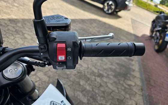 Neufahrzeug Honda CB1000 Hornet - Bild 6