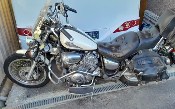 Gebrauchtmotorrad Yamaha Virago XV 1000 - Bild 1 Gebrauchtmotorrad Yamaha Virago XV 1000 - Bild 1