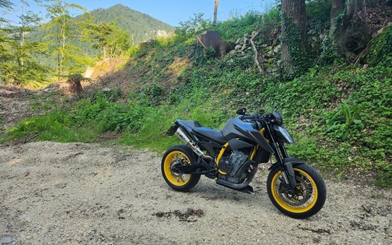 Motorrad Occasion KTM 890 Duke R - Bild 7