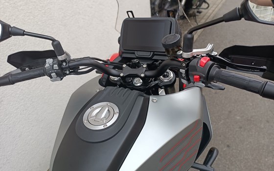 Neufahrzeug QJ Motor SRT 700 SX - Bild 8