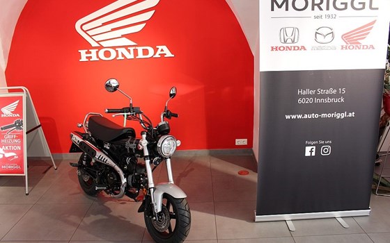Neufahrzeug Honda Dax 125 - Bild 1 Neufahrzeug Honda Dax 125 - Bild 1