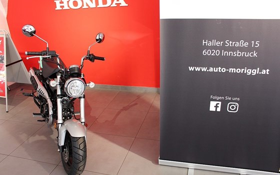 Neufahrzeug Honda Dax 125 - Bild 2 Neufahrzeug Honda Dax 125 - Bild 2