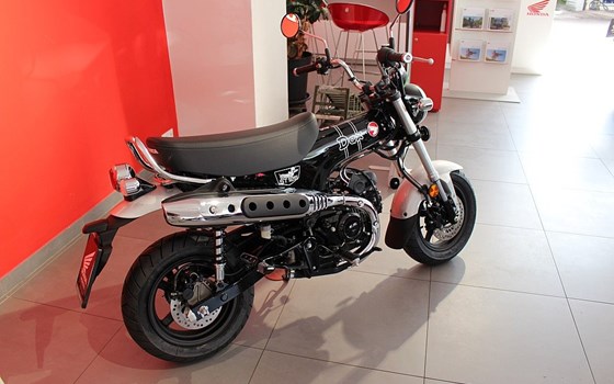 Neufahrzeug Honda Dax 125 - Bild 3 Neufahrzeug Honda Dax 125 - Bild 3