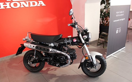 Neufahrzeug Honda Dax 125 - Bild 4 Neufahrzeug Honda Dax 125 - Bild 4