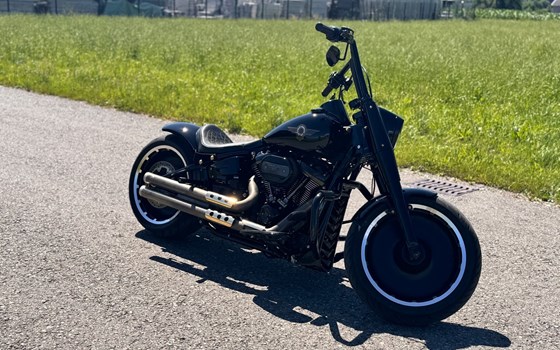 Gebrauchtmotorrad Harley-Davidson Fat Boy 30th Anniversary - Bild 2 Gebrauchtmotorrad Harley-Davidson Fat Boy 30th Anniversary - Bild 2