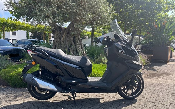 Gebrauchtmotorrad Daelim XQ1 - Bild 1