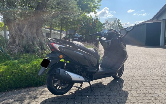 Gebrauchtmotorrad Daelim XQ1 - Bild 3