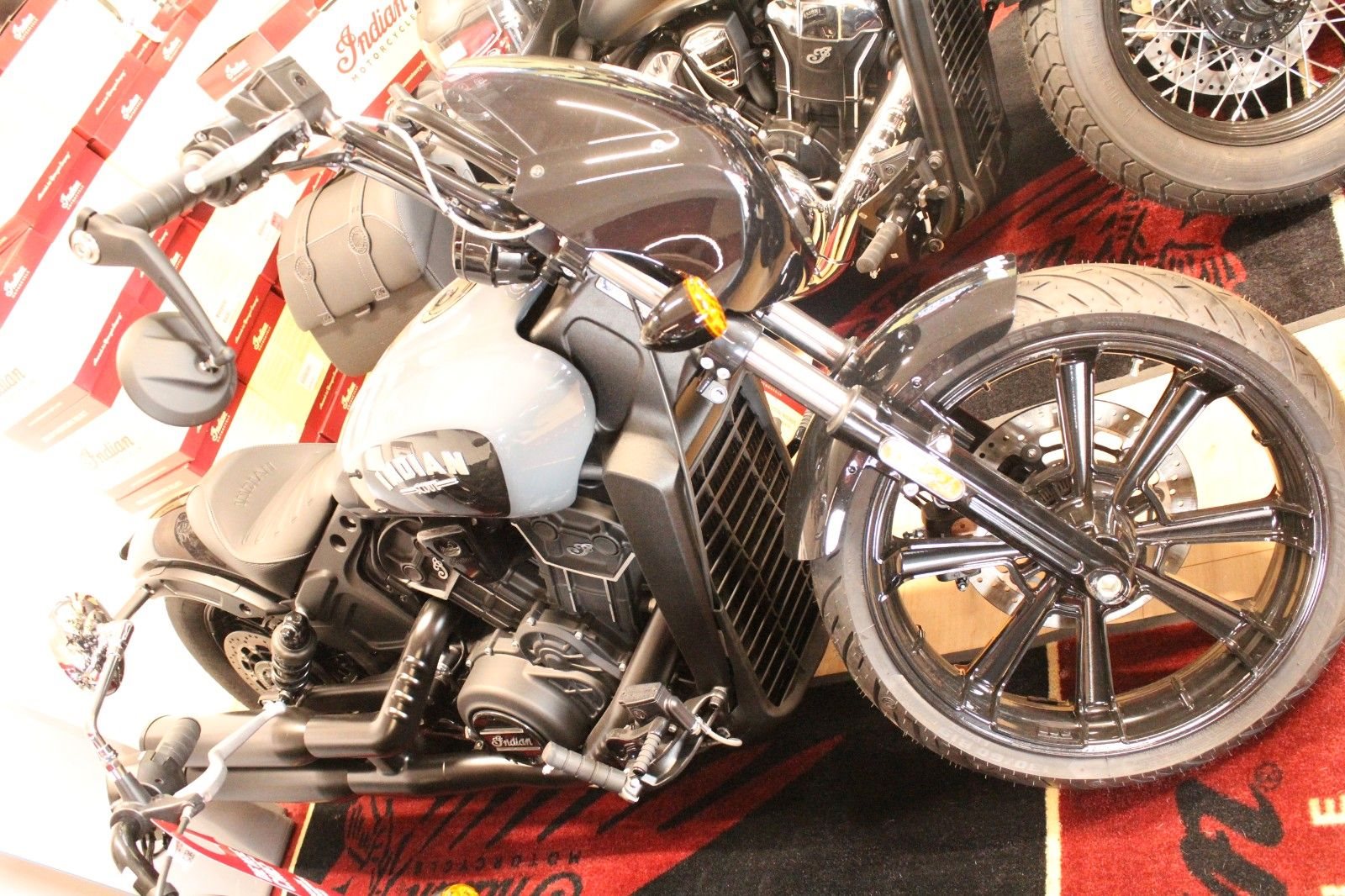 Indian Scout Rogue