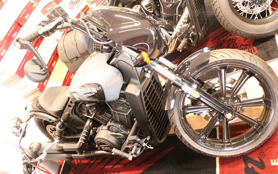 Neufahrzeug Indian Scout Rogue - Bild 1