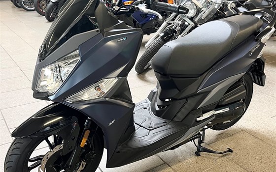 Neufahrzeug Sym Jet 14 50i - Bild 1