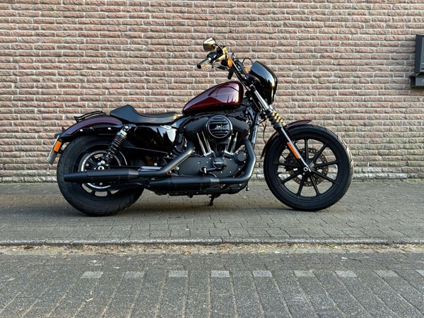Gebrauchtmotorrad Harley-Davidson Sportster XL 1200NS Iron