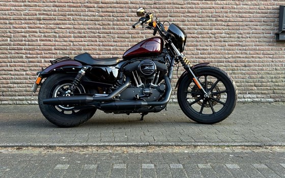 Gebrauchtmotorrad Harley-Davidson Sportster XL 1200NS Iron - Bild 1