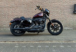 Gebrauchte Harley-Davidson Sportster XL 1200NS Iron