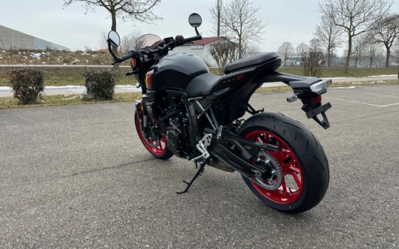 Neufahrzeug Suzuki GSX-8TT - Bild 4