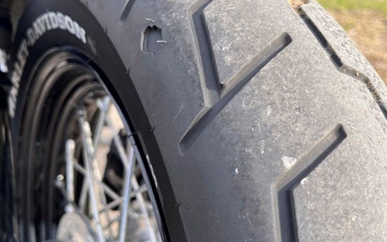 Gebrauchtmotorrad Harley-Davidson Sportster XL 1200X Forty-Eight - Bild 11