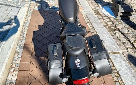 Gebrauchtmotorrad Honda CMX500 Rebel - Bild 3