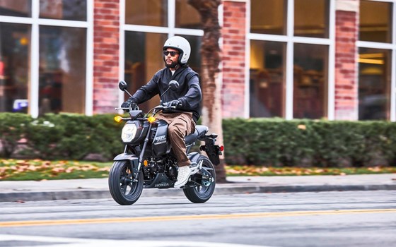 Neufahrzeug Honda MSX125 Grom - Bild 6