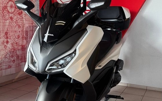 Neufahrzeug Honda Forza 125 - Bild 3