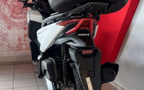 Neufahrzeug Honda Forza 125 - Bild 4
