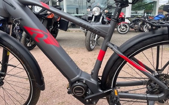 Neufahrzeug Raymon TourRay E - Bild 11