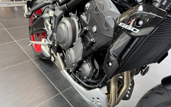 Neufahrzeug Triumph Trident 660 Triple Tribute - Bild 10 Neufahrzeug Triumph Trident 660 Triple Tribute - Bild 10