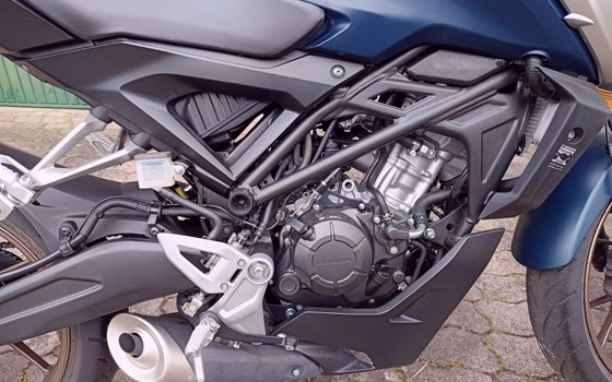 Gebrauchtmotorrad Honda CBF 125 - Bild 6