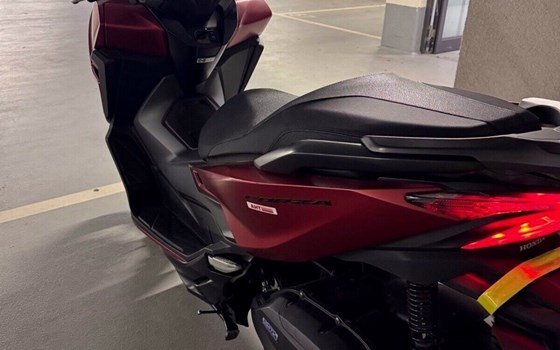 Gebrauchtmotorrad Honda Forza 125 - Bild 4