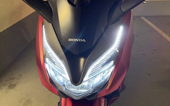 Gebrauchtmotorrad Honda Forza 125 - Bild 7