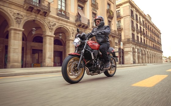 Neufahrzeug Kawasaki Z650 RS - Bild 2