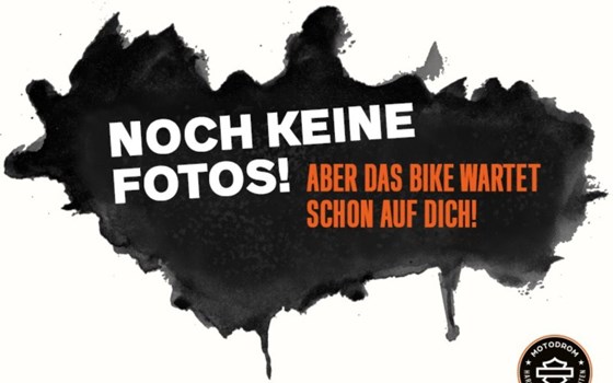 Neufahrzeug Harley-Davidson Nightster Special - Bild 6 Neufahrzeug Harley-Davidson Nightster Special - Bild 6
