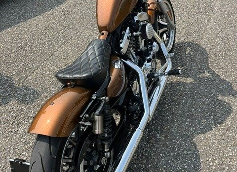 Gebrauchtmotorrad Harley-Davidson Sportster XL 1200 - Bild 1 Gebrauchtmotorrad Harley-Davidson Sportster XL 1200 - Bild 1