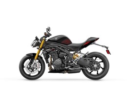Neumotorrad Triumph Speed Triple 1200 RS