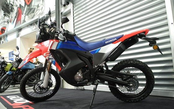 Neufahrzeug Honda CRF300 Rally - Bild 2