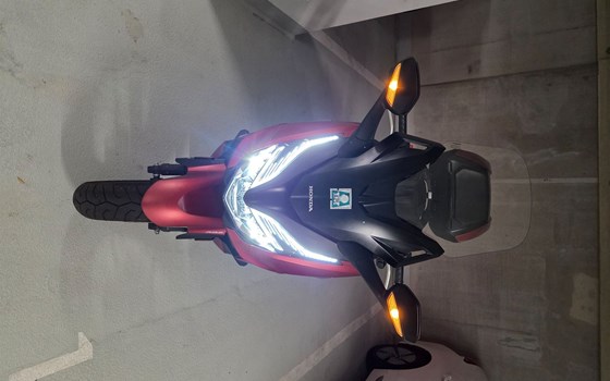 Gebrauchtmotorrad Honda Forza 350 - Bild 9 Gebrauchtmotorrad Honda Forza 350 - Bild 9