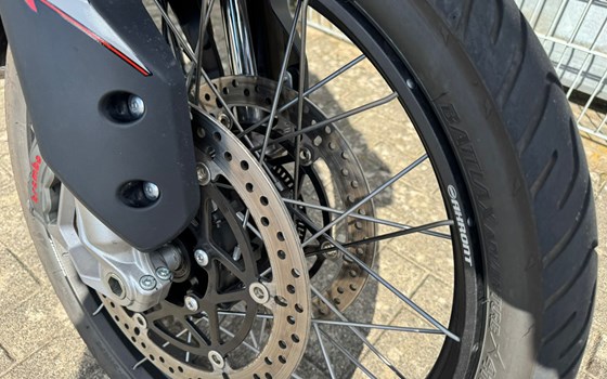 Gebrauchtmotorrad Triumph Tiger 900 Rally Pro - Bild 5