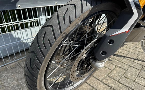 Gebrauchtmotorrad Triumph Tiger 900 Rally Pro - Bild 9