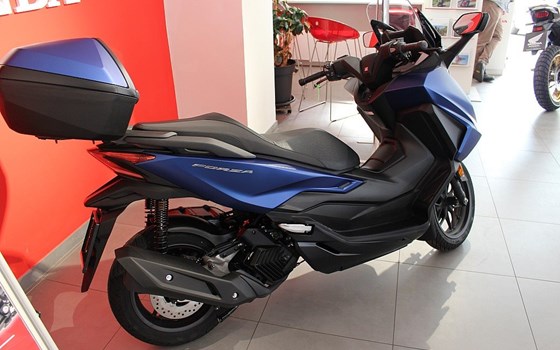 Neufahrzeug Honda Forza 125 - Bild 3 Neufahrzeug Honda Forza 125 - Bild 3