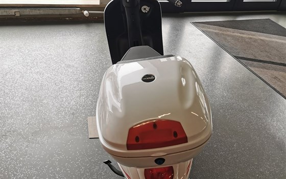 Neufahrzeug Luxxon E3100 - Bild 3