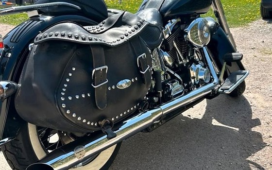 Gebrauchtmotorrad Harley-Davidson Softail Deluxe FLSTN - Bild 2