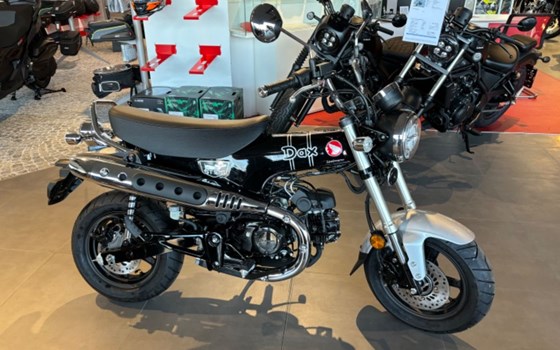 Neufahrzeug Honda Dax - Bild 3