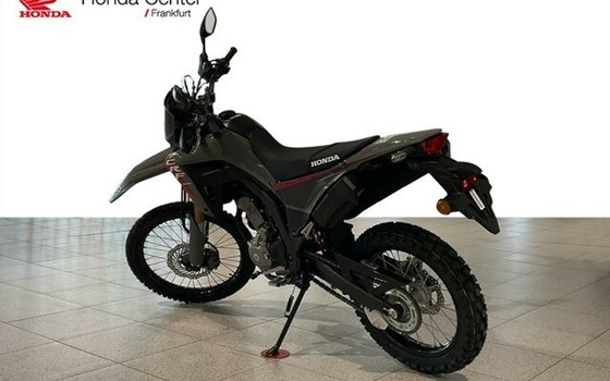 Neufahrzeug Honda CRF300L - Bild 3