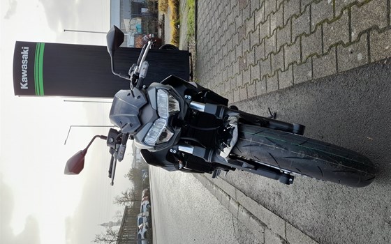 Neufahrzeug Kawasaki Z650 - Bild 7