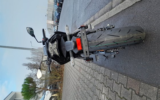 Neufahrzeug Kawasaki Z650 - Bild 8