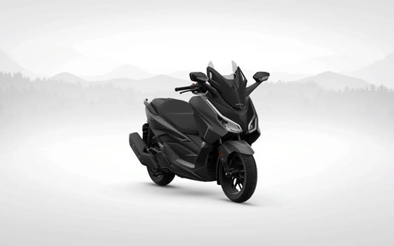 Neufahrzeug Honda Forza 125 - Bild 10 Neufahrzeug Honda Forza 125 - Bild 10