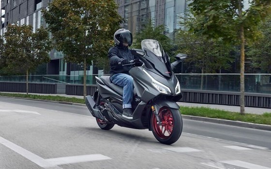 Neufahrzeug Honda Forza 125 - Bild 5 Neufahrzeug Honda Forza 125 - Bild 5