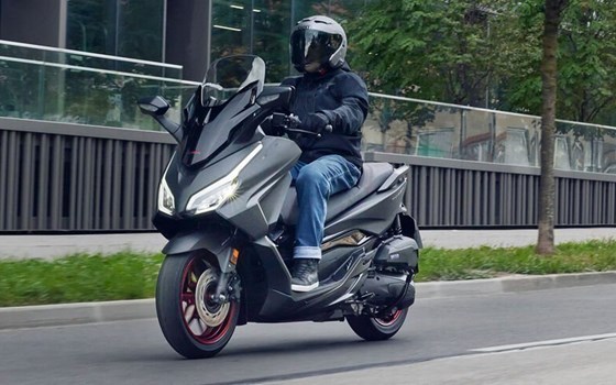 Neufahrzeug Honda Forza 125 - Bild 6 Neufahrzeug Honda Forza 125 - Bild 6