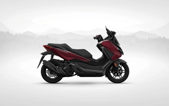 Neufahrzeug Honda Forza 125 - Bild 8 Neufahrzeug Honda Forza 125 - Bild 8